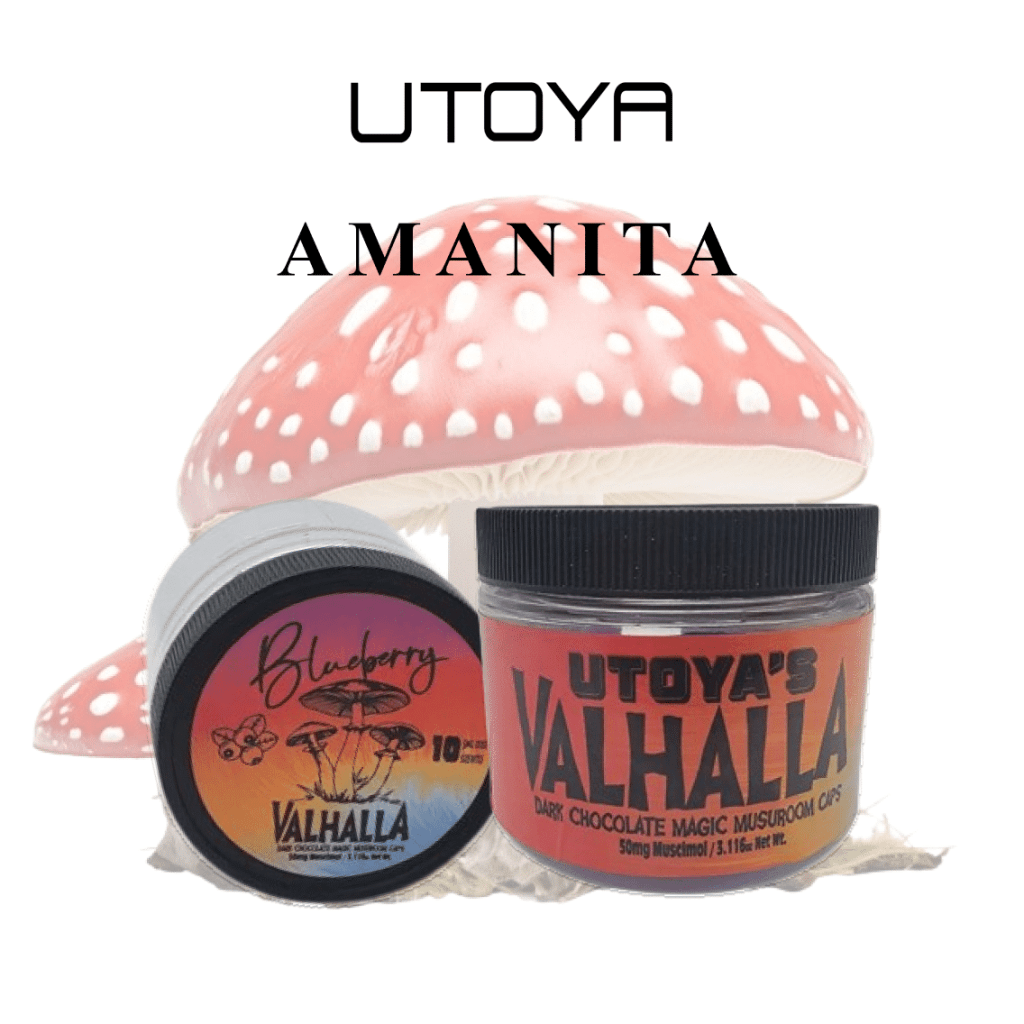 How to Choose Organic Amanita Mushroom Products in&nbsp;Florida